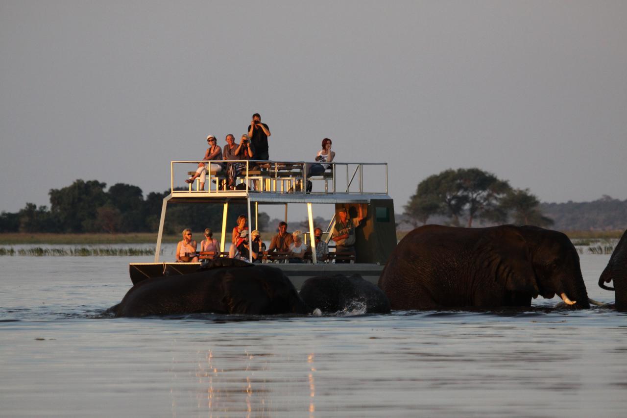 Chobe River Camp Ngoma Εξωτερικό φωτογραφία